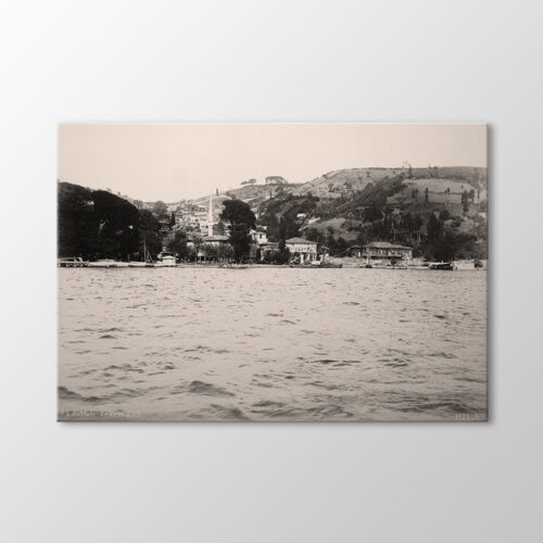 Bebek, 1890 Tablo