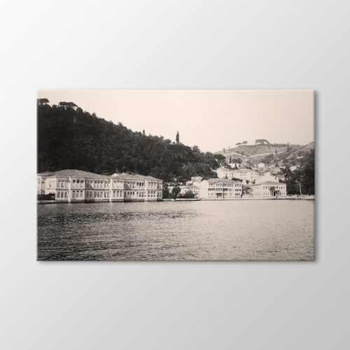 Ali Paşa Yalısı, 1880 Tablo