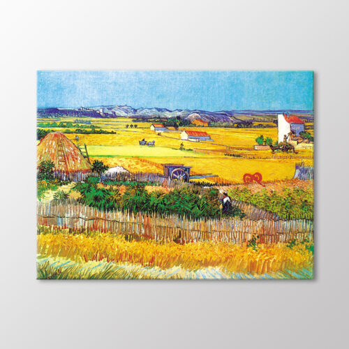 La Crau'da Hasat Arka Planda Montmajour, 1888 Tablo
