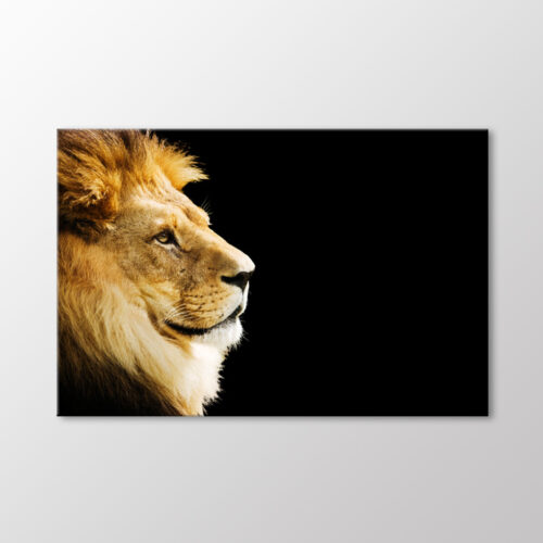 Aslan Tablo