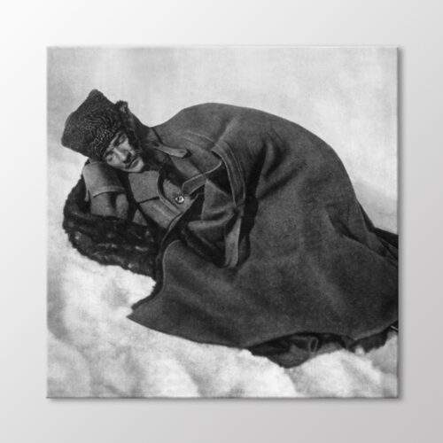 Karlar Üstünde Atatürk Tablo
