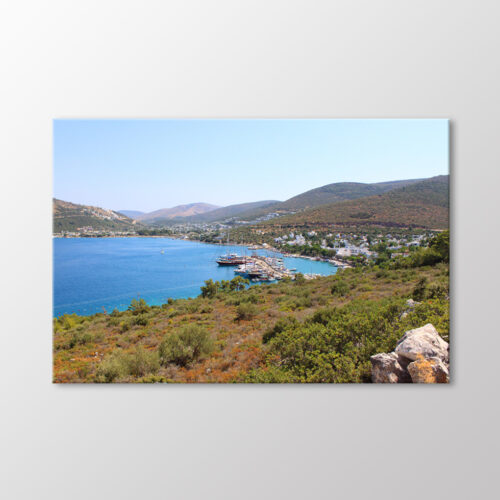 Torba Koyu, Bodrum Tablo