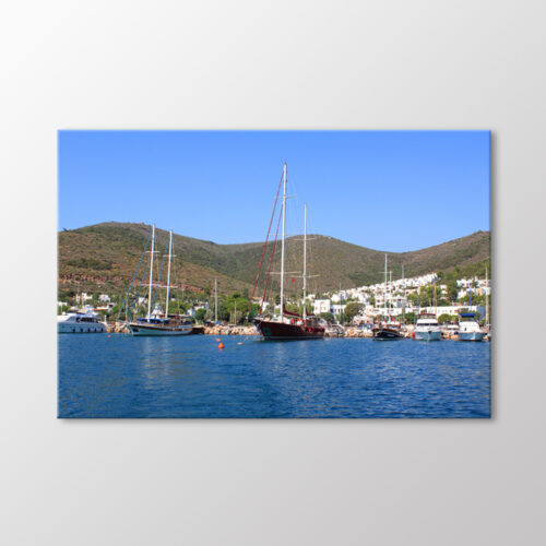 Yelkenliler, Bodrum Tablo