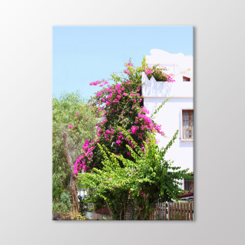 Bodrum Evleri Tablo