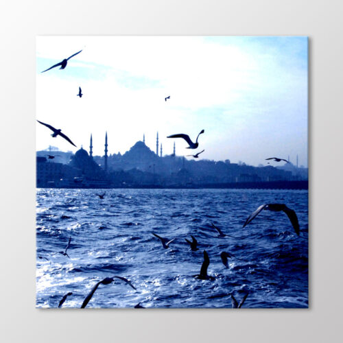 Martılar ve İstanbul Tablo