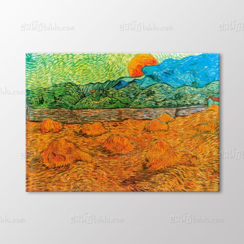 Çiçekli Patikalı Bahçe, 1888 Tablo kanvas tablo