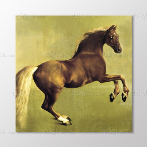 Whistlejacket Tablo kanvas tablo