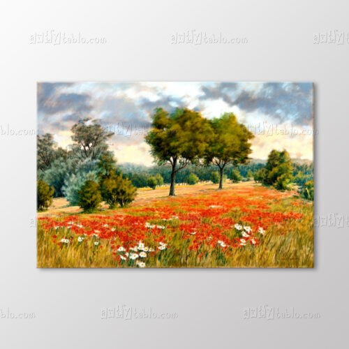 Gelincik Tarlası Tablo kanvas tablo