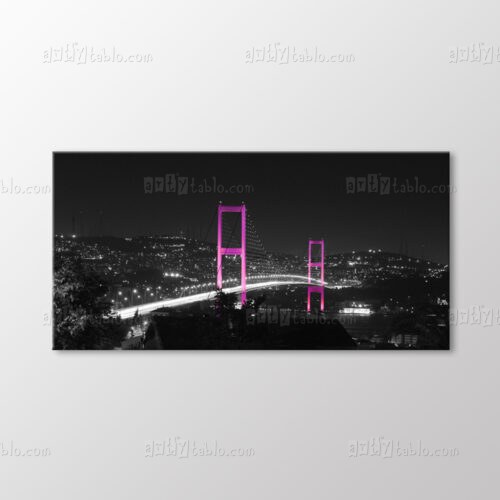 Siyah Beyaz Pembe Kuleli Boğaz Köprüsü Tablo kanvas tablo
