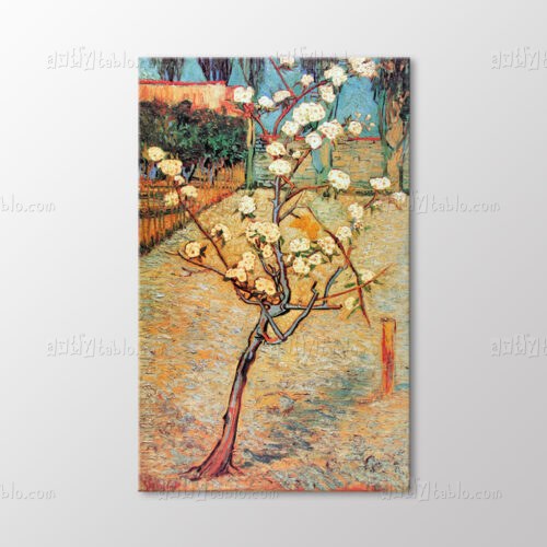 Pear Tree İn Blossom Tablo kanvas tablo
