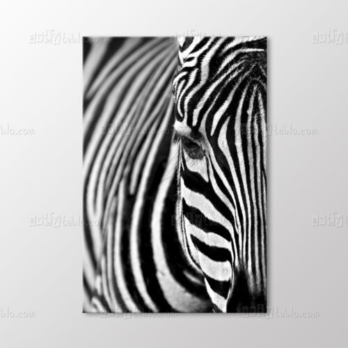 Zebra Tablo